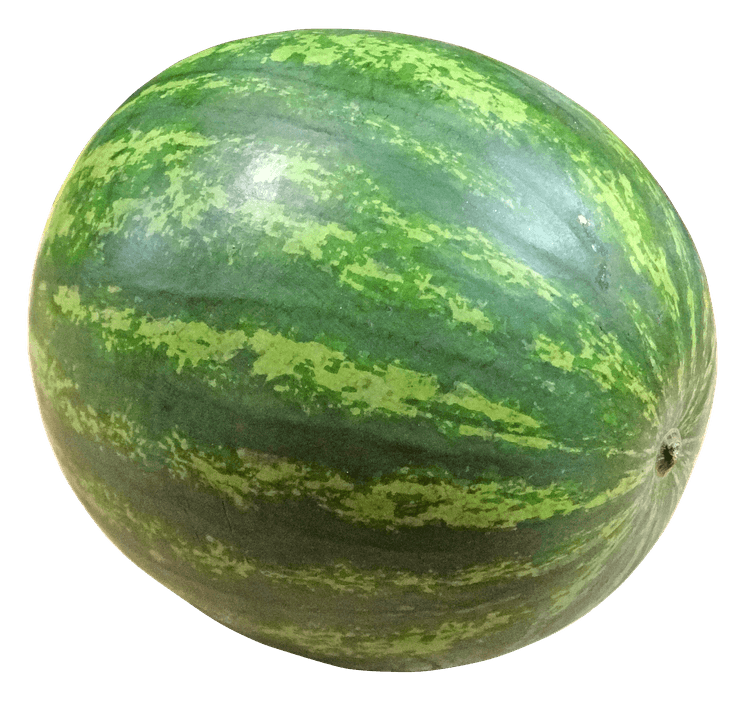 melancia